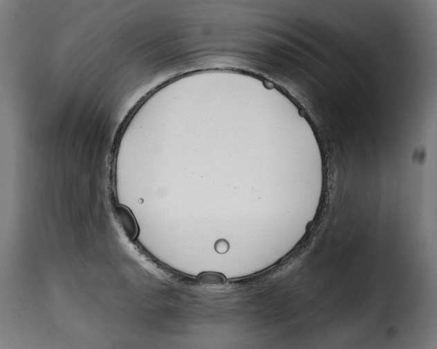 X0000115001134200911231158