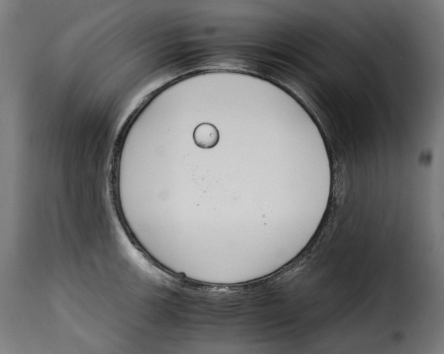 X0000115001139200911231158