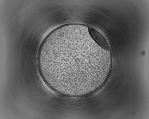 X0000115001141200911231158