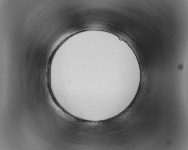 X0000115001147200911231158