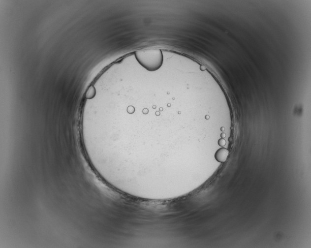 X0000115001149200911231158