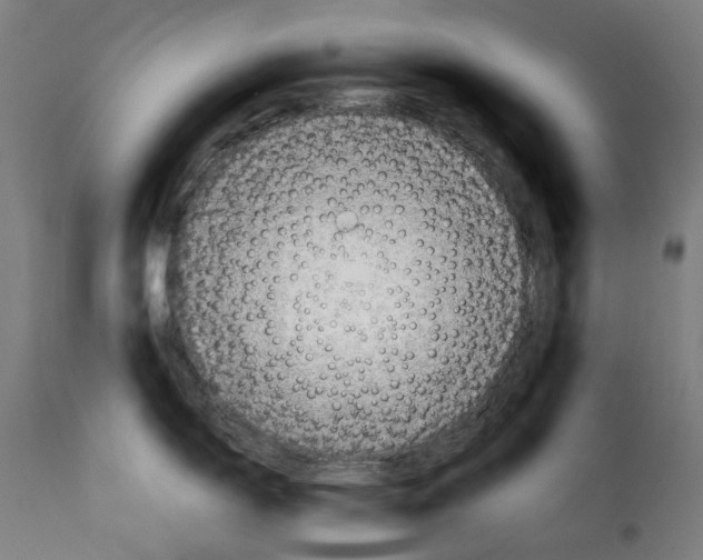 X0000115001150200911231158