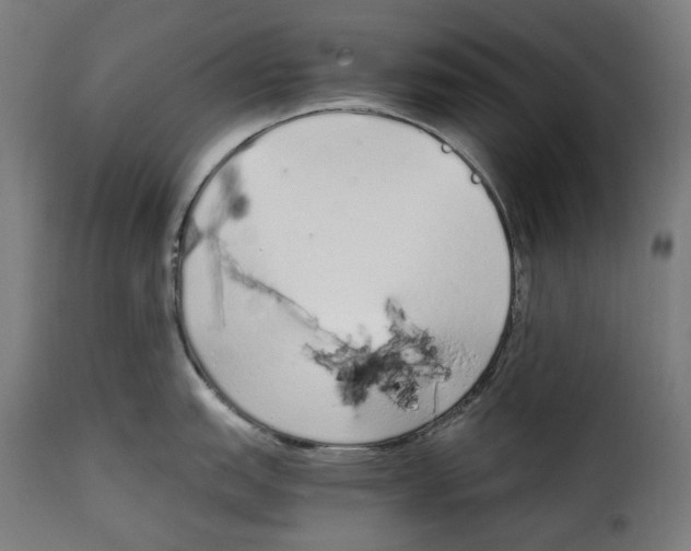 X0000115001151200911231158