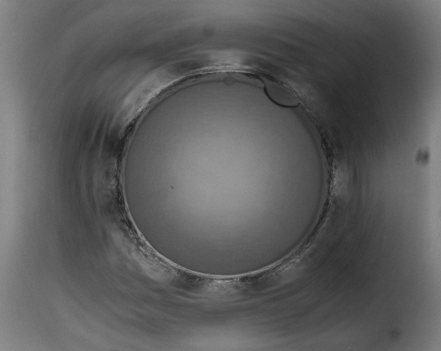 X0000115001161200911231158