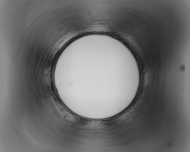 X0000115001162200911231158