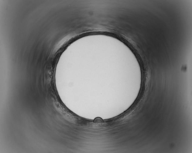 X0000115001163200911231158