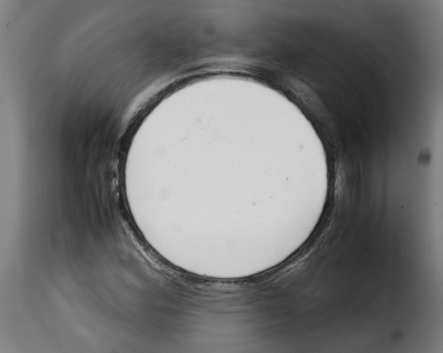 X0000115001164200911231158