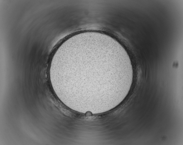 X0000115001166200911231158