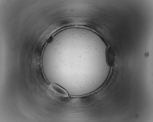 X0000115001169200911231158