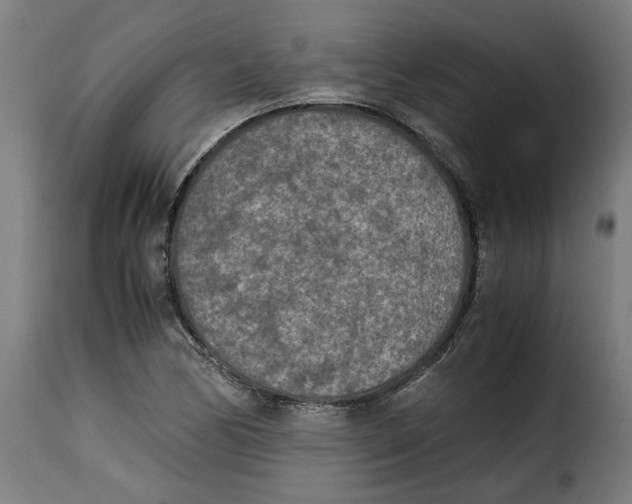 X0000115001170200911231158