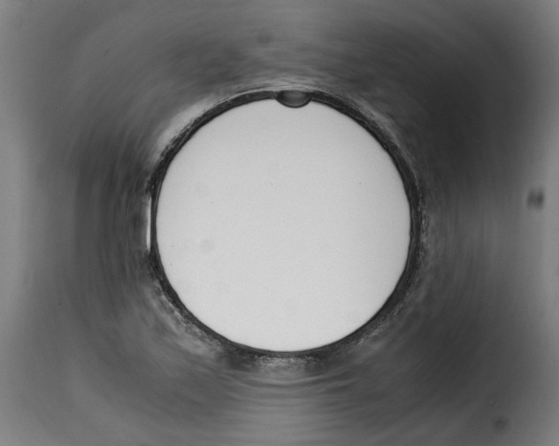 X0000115001171200911231158