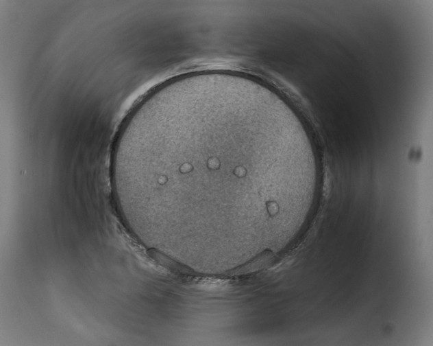 X0000115001174200911231158