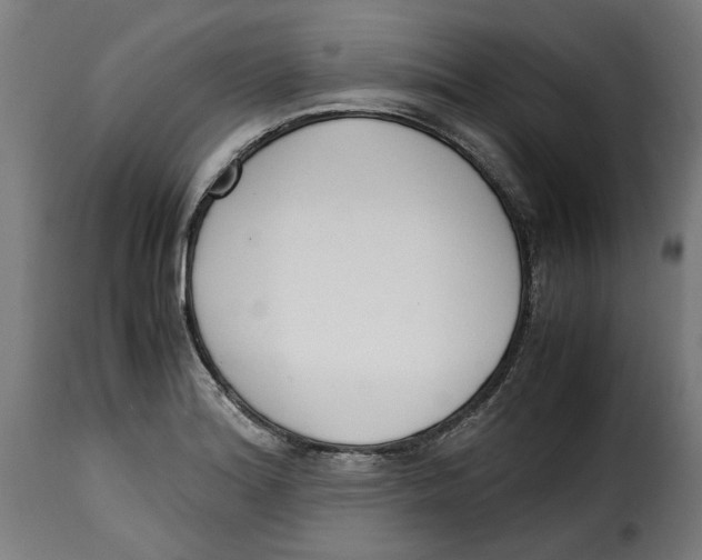 X0000115001180200911231157