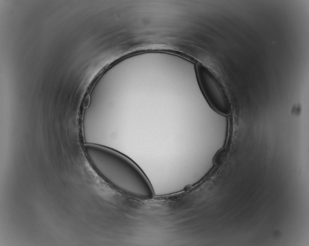 X0000115001181200911231157