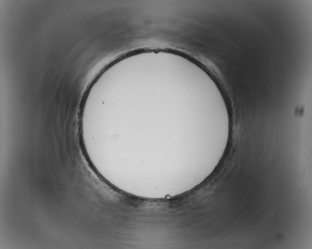 X0000115001183200911231157