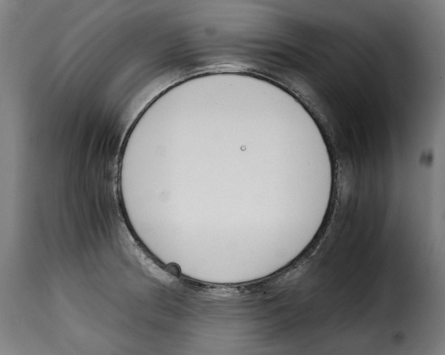 X0000115001186200911231157