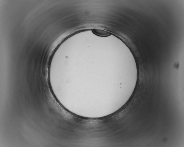 X0000115001188200911231157