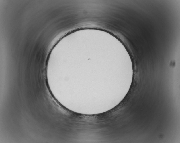 X0000115001191200911231157