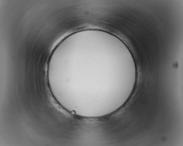 X0000115001198200911231157