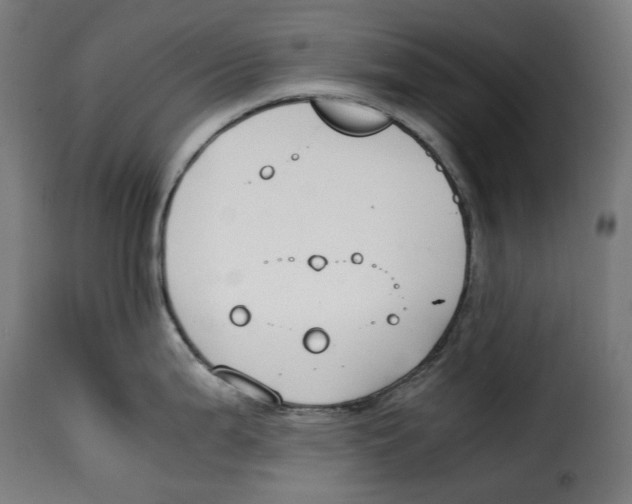 X0000115001199200911231157