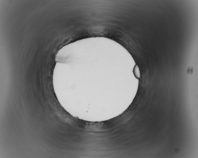 X0000115001201200911231157