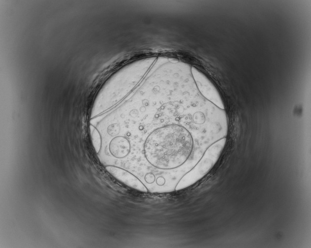 X0000115001205200911231157