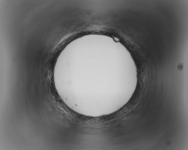 X0000115001206200911231157