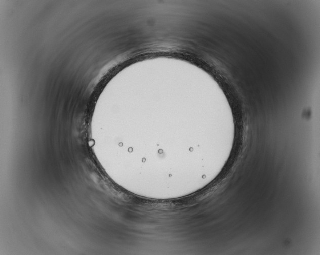 X0000115001210200911231157