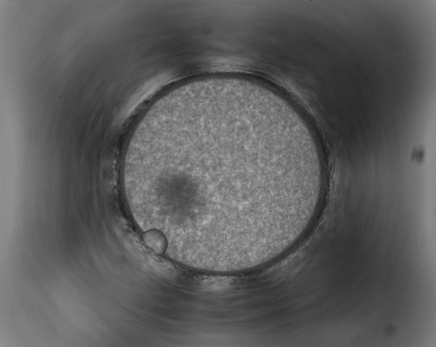 X0000115001211200911231157