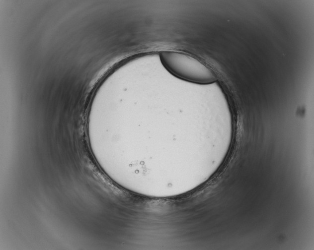 X0000115001212200911231157