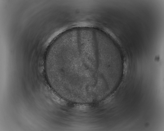 X0000115001213200911231157