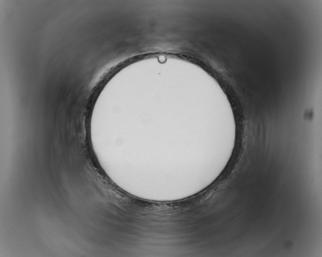 X0000115001214200911231157