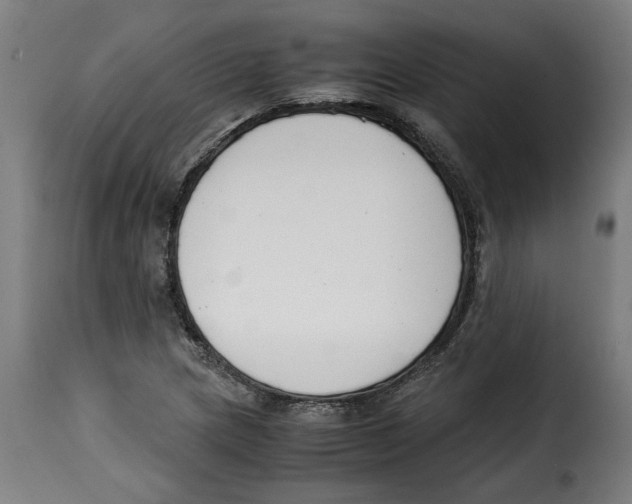 X0000115001217200911231157