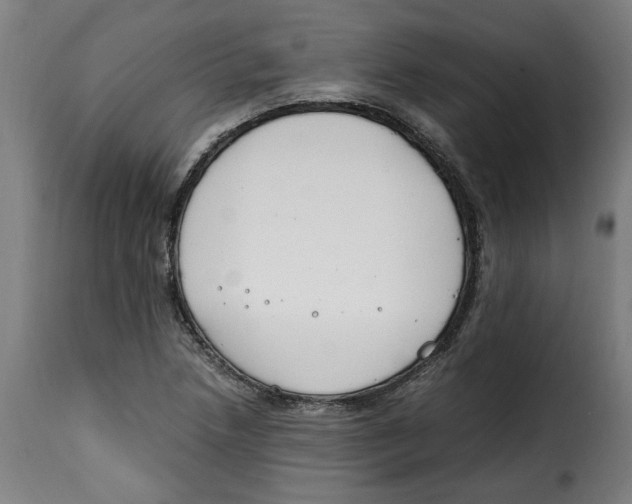 X0000115001218200911231157