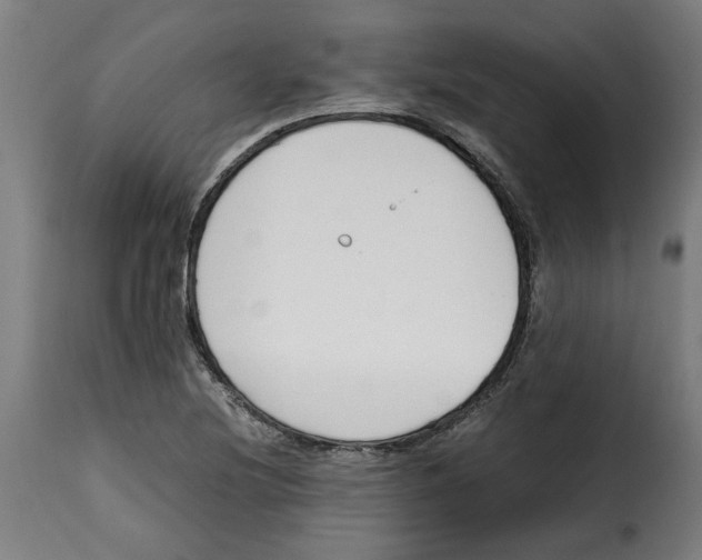 X0000115001220200911231157