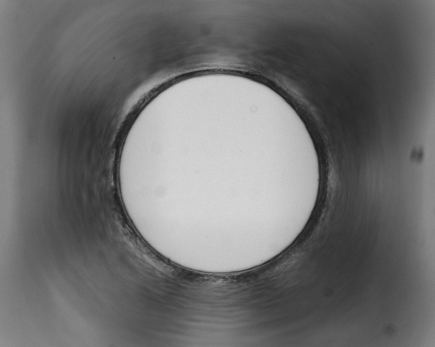 X0000115001222200911231157