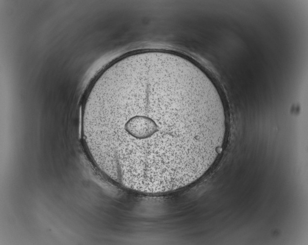 X0000115001223200911231157