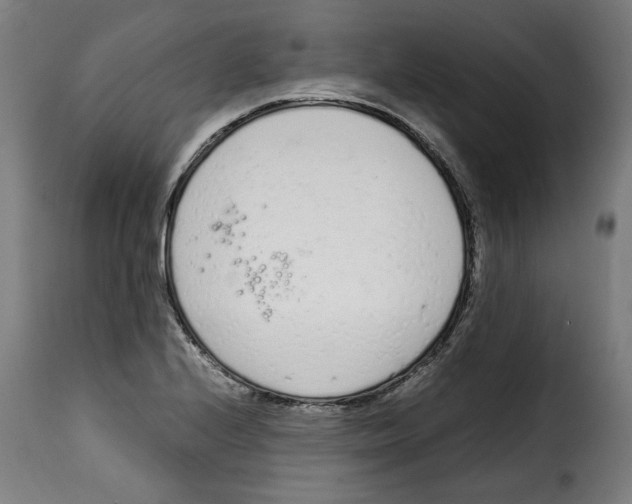 X0000115001224200911231157