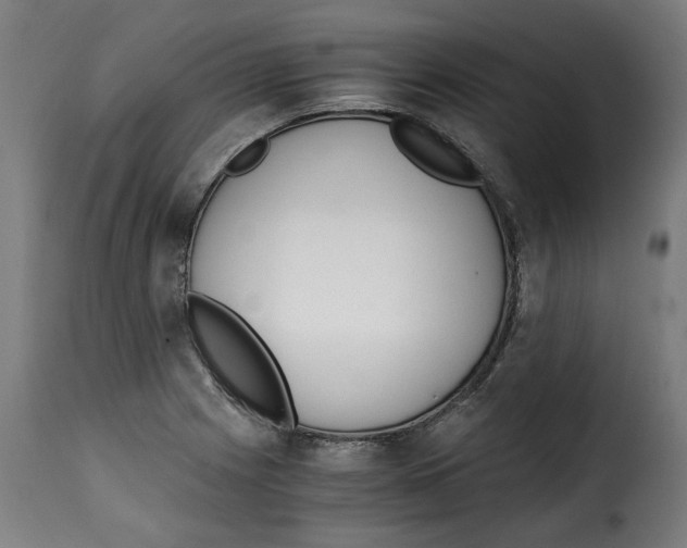 X0000115001225200911231157