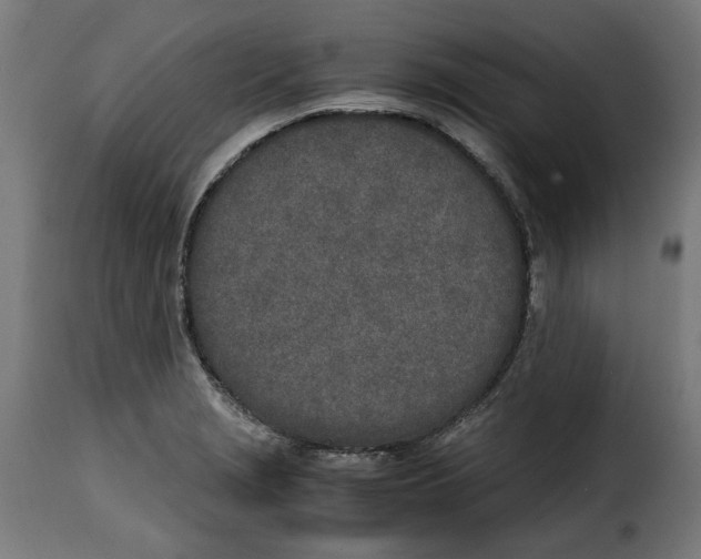 X0000115001229200911231157