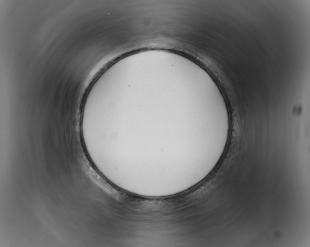 X0000115001232200911231157