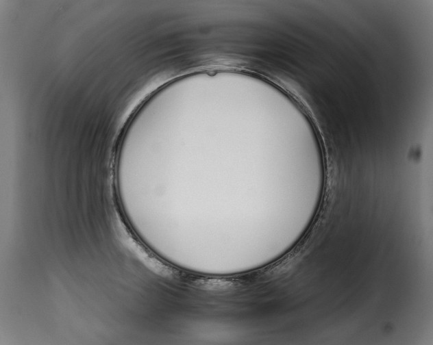 X0000115001235200911231157