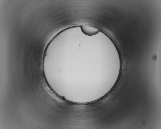 X0000115001236200911231157