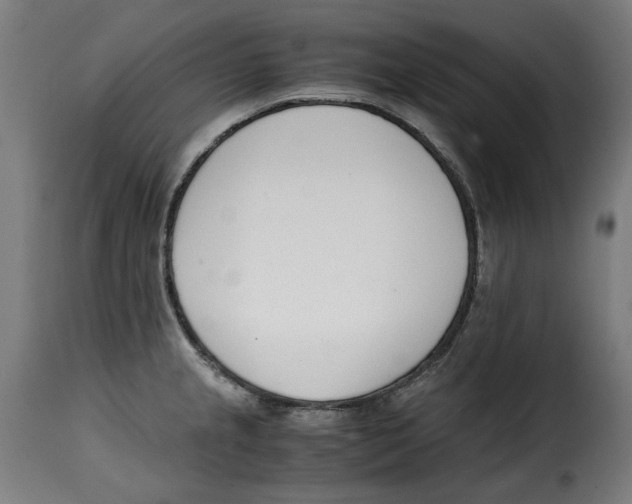 X0000115001237200911231157