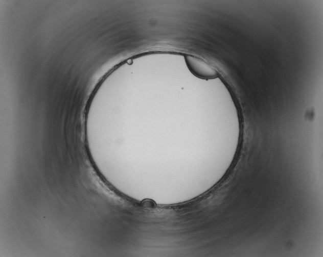 X0000115001238200911231157