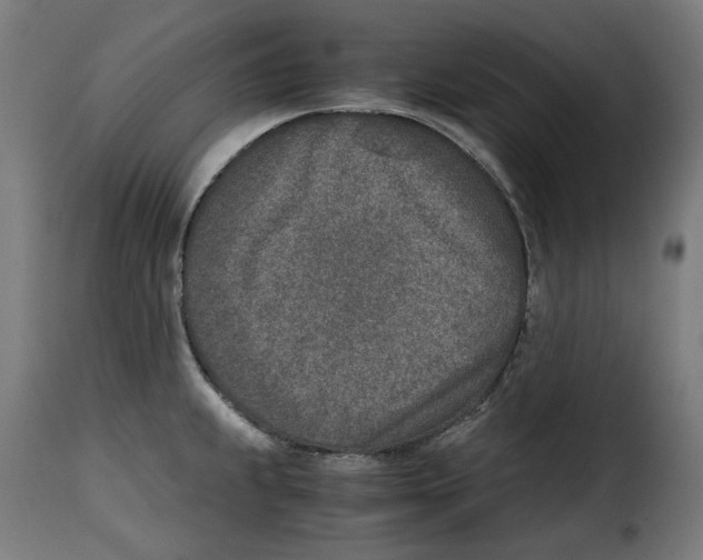 X0000115001239200911231157