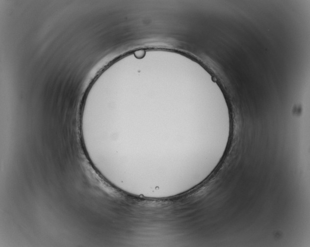 X0000115001240200911231157