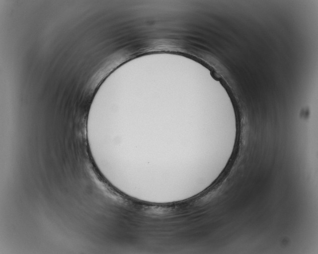 X0000115001241200911231157