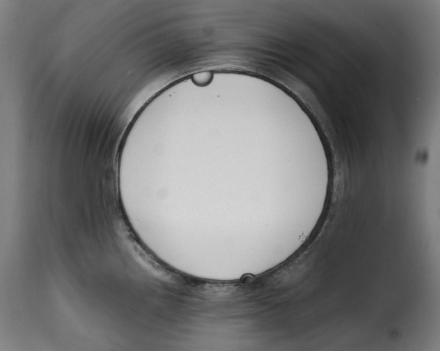 X0000115001242200911231157