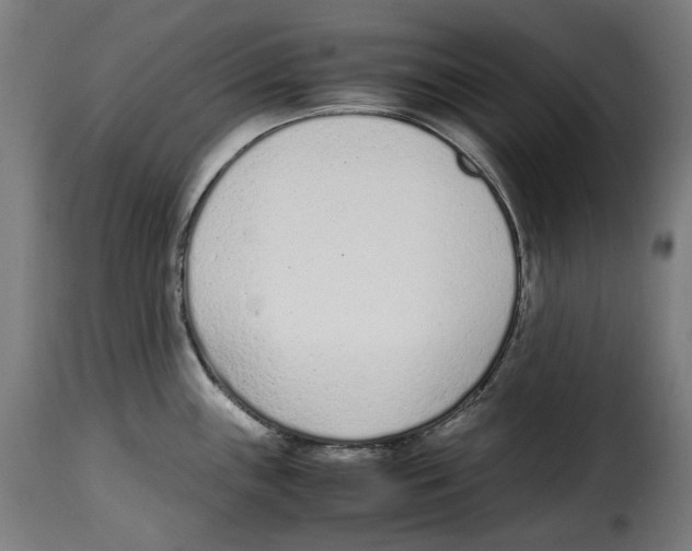 X0000115001243200911231157